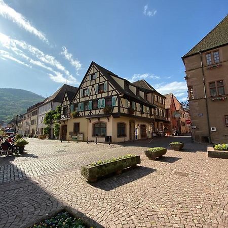Coeur D'Alsace Apartment Kaysersberg-Vignoble Ngoại thất bức ảnh